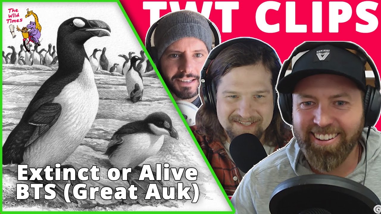 Extinct or Alive Behind The Scenes - Great Auk | The Wild Times Podcast